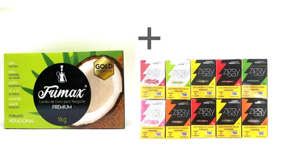 KIT 10 ESSENCIAS ZIGGY + 1 KG CARVÃO FUMAX
